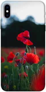 Чехол на Apple iPhone X (5.8") Мак фото 1 из 1