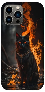 Чохол на Apple iPhone 13 Pro Max (6.7") Вогняний кіт фото 1 з 1