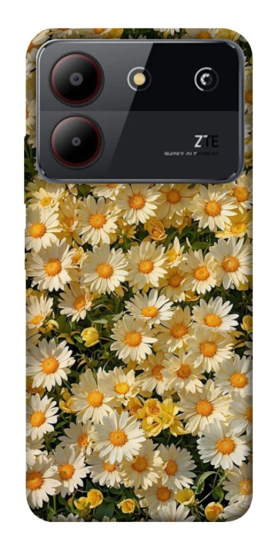 Чохол на ZTE Blade A54 4G Camomile фото 1 з 1