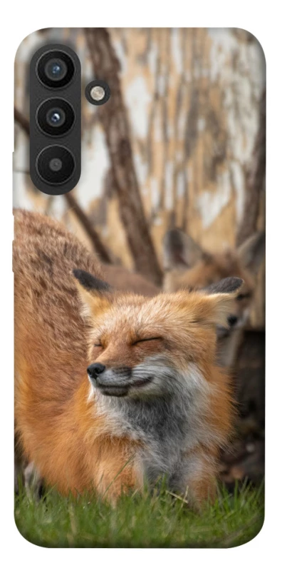 Чохол на Samsung Galaxy A34 5G Лисиця фото 1 з 1