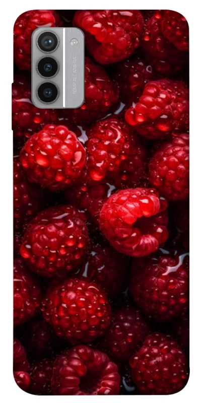 Чехол на Nokia G42 Малинка фото 1 из 1