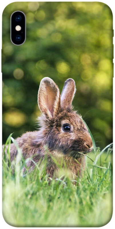 Чехол на Apple iPhone X (5.8") Кролики фото 1 из 1