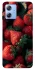 Чохол на Motorola Moto G84 Strawberry фото 1 з 1