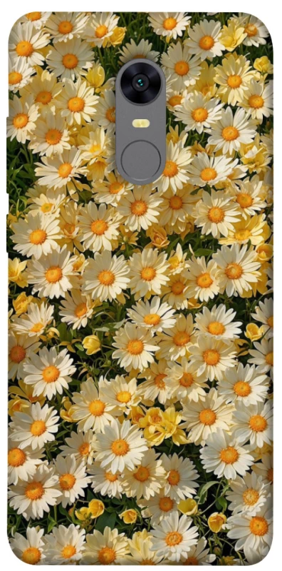 Чехол на Xiaomi Redmi 5 Plus / Redmi Note 5 (Single Camera) Camomile фото 1 из 1