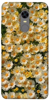Чохол на Xiaomi Redmi 5 Plus / Redmi Note 5 (Single Camera) Camomile фото 1 з 1