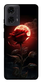 Чехол на Motorola Moto G04 Красная роза фото 1 из 1