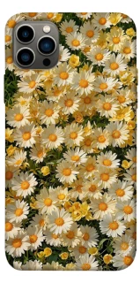 Чехол на Apple iPhone 12 Pro (6.1") Camomile фото 1 из 1