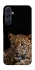 Чохол на Samsung Galaxy A25 5G Leopard v4 фото 1 з 1