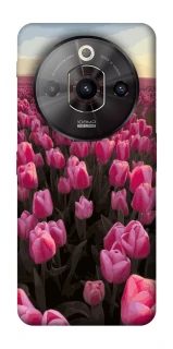 Чехол на ZTE Nubia Focus Pro Spring Awakening фото 1 из 1