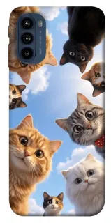 Чехол на Motorola Moto G41 Cats фото 1 из 1