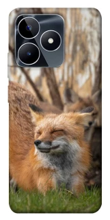 Чохол на Realme C53 Лисиця фото 1 з 1