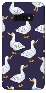 Чохол на Samsung Galaxy S10e Гуси з претензією фото 1 з 1