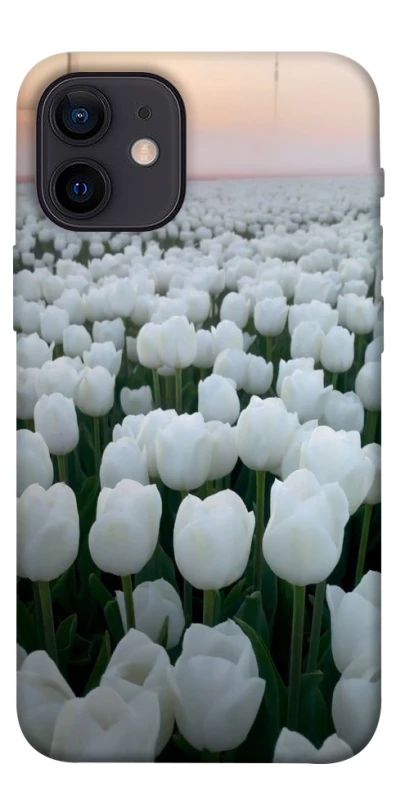 Чохол на Apple iPhone 12 mini (5.4") Flowers v1 фото 1 з 1