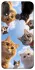 Чехол на Huawei P Smart+ (nova 3i) Cats фото 1 из 1