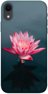 Чехол на Apple iPhone XR (6.1") Лотос фото 1 из 1