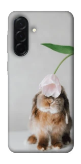 Чохол на Samsung Galaxy A37 5G Bunny фото 1 з 1