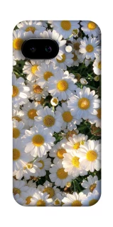 Чохол на Google Pixel 9a Поле ромашок фото 1 з 1