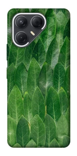 Чехол на TECNO Pova 7 Листья фото 1 из 1