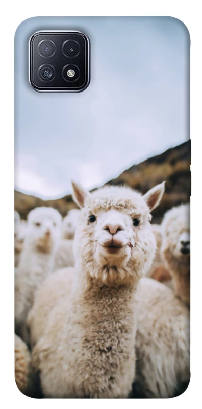 Чохол на Oppo A73 Лама фото 1 з 1