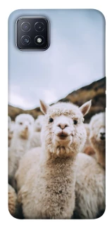 Чохол на Oppo A73 Лама фото 1 з 1