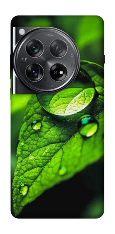 Чохол на OnePlus 12 Flowers v16 фото 1 з 1