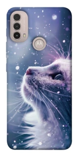 Чохол на Motorola Moto E40 Snow cat фото 1 з 1