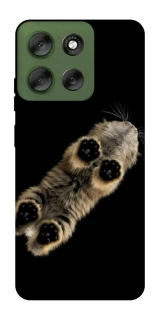 Чехол на Motorola Moto G56 5G Cat фото 1 из 1