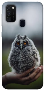 Чехол на Samsung Galaxy M30s / M21 Совёнок фото 1 из 1