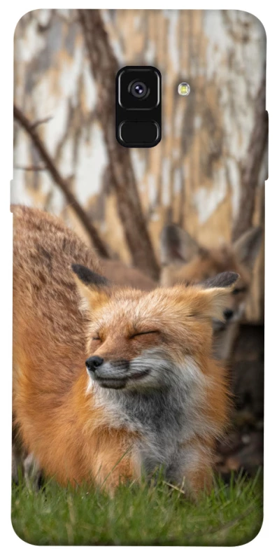 Чохол на Samsung A530 Galaxy A8 (2018) Лисиця фото 1 з 1