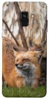 Чехол на Samsung A530 Galaxy A8 (2018) Лиса фото 1 из 1