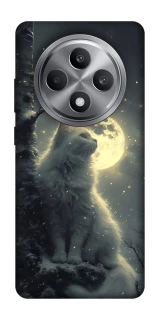 Чехол на Oppo Reno 12 F 4G Кот под луной фото 1 из 1