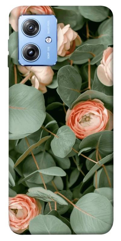 Чохол на Motorola Moto G84 Eternal Spring фото 1 з 1