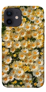 Чохол на Apple iPhone 12 mini (5.4") Camomile фото 1 з 1