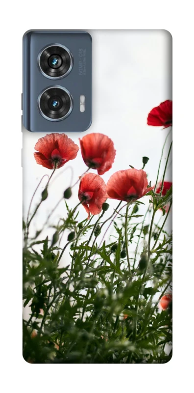 Чехол на Motorola Edge 50 Поле маков фото 1 из 1