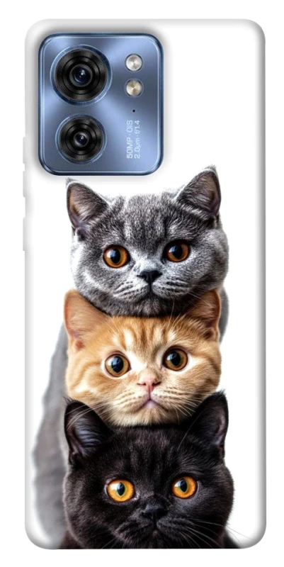Чохол на Motorola Edge 40 Гарні котики фото 1 з 1