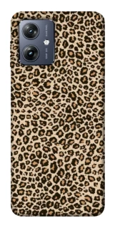 Чохол на Motorola Moto G54 Leopard Skin v2 фото 1 Чохол на Motorola Moto G54 Leopard Skin v2 фото 1 з 1