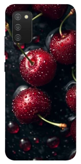 Чехол на Samsung Galaxy A02s Черешня фото 1 из 1