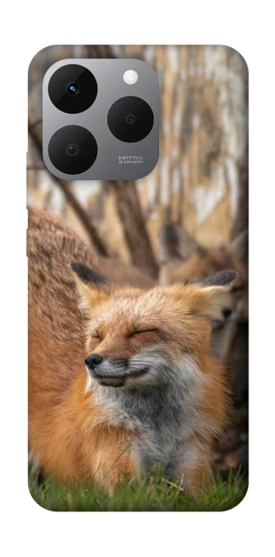 Чехол на Realme 15T Лиса фото 1 из 1