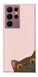 Чехол на Samsung Galaxy S22 Ultra Peeping cat фото 1 из 1