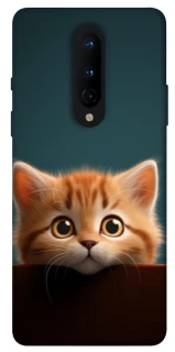 Чохол на OnePlus 8 Чохол Кошеня фото 1 з 1