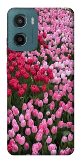 Чохол на Motorola Moto G06 Flowers v9 фото 1 з 1