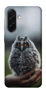 Чехол на Samsung Galaxy A37 5G Совёнок фото 1 из 1