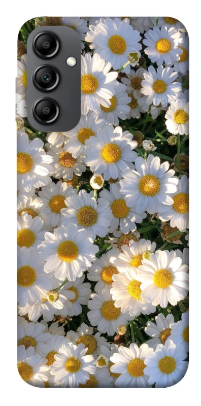 Чохол на Samsung Galaxy A14 4G/5G Поле ромашок фото 1 з 1