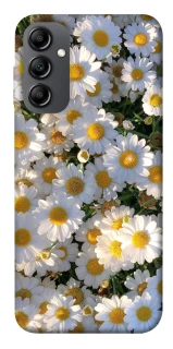 Чохол на Samsung Galaxy A14 4G/5G Поле ромашок фото 1 з 1