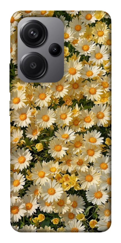 Чохол на Xiaomi Redmi Note 13 Pro+ Camomile фото 1 з 1