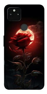 Чехол на Google Pixel 5A Красная роза фото 1 из 1
