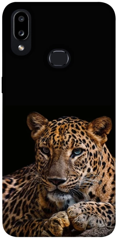 Чохол на Samsung Galaxy A10s Leopard v4 фото 1 з 1