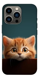 Чохол на Apple iPhone 13 Pro (6.1") Чохол Кошеня фото 1 з 1