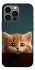 Чехол на Apple iPhone 13 Pro (6.1") Чехол Котёнок фото 1 из 1