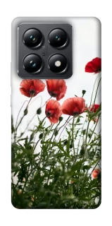 Чехол на Xiaomi 14T Pro Поле маков фото 1 из 1